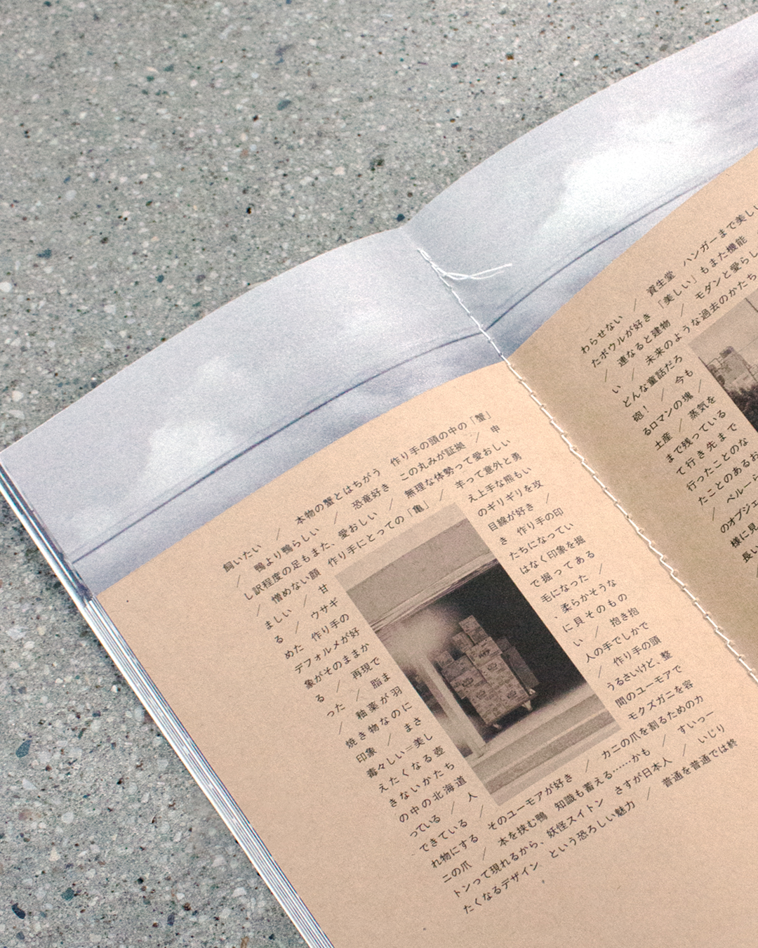 作品画像4